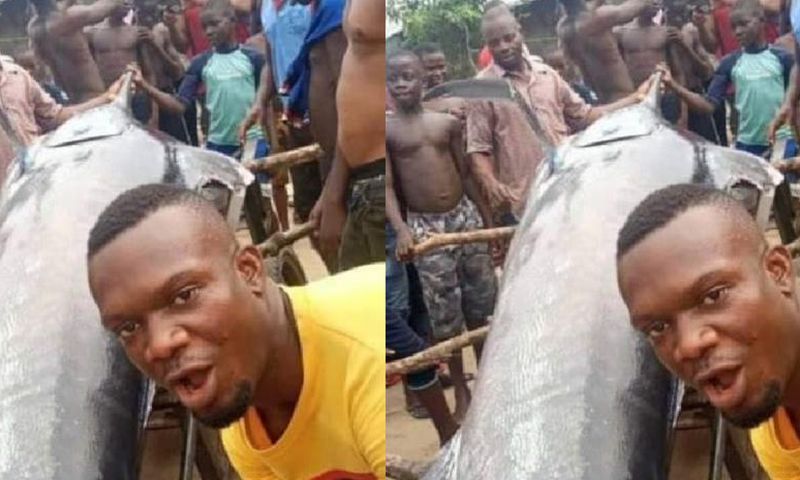 Man & village folks eat Blue Marlin Fish only to know it’s worth a life-changing $2.6 million