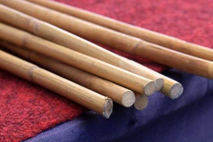 NPP’s Communications team member given 40 lashes for insulting queen mother