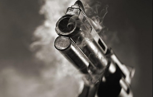 Gun
