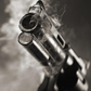 Gun