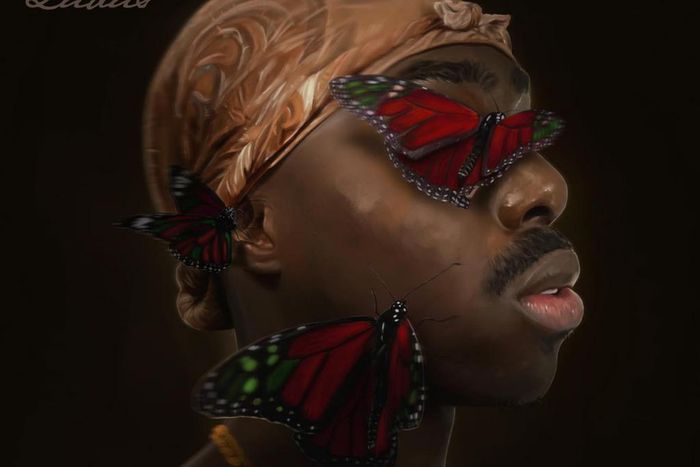 Serious Klein - Ludus