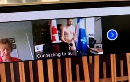 MP who appeared completely naked during virtual meeting says “it won't happen again”
