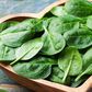 Spinach leaves