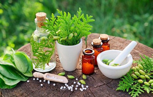 COVID-19: We’re not aware of herbal medicine approved for clinical trial – Herbal Practitioners
