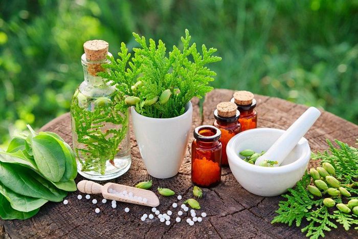 COVID-19: We’re not aware of herbal medicine approved for clinical trial – Herbal Practitioners