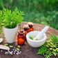 COVID-19: We’re not aware of herbal medicine approved for clinical trial – Herbal Practitioners