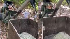 China allegedly has a machine that peels cocoa straight from harvesting