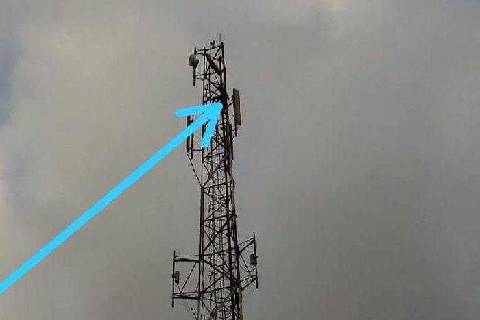 Man climbs telecommunication mast, says I'll be here until Akufo Addo's declared winner