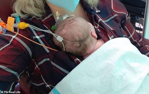 36-year-old Courtney Rogers gives birth to 11 children within 10 years