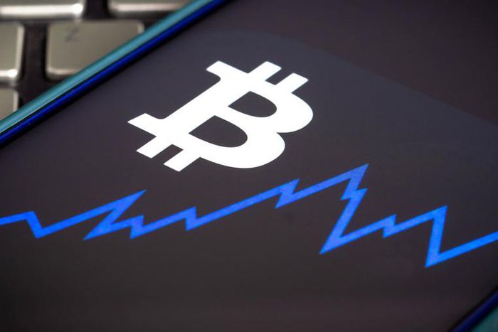 The bitcoin price has soared in 2021