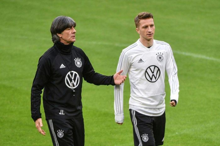 Marco Reus (R) has been unfortunate with injuries.
