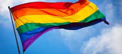 LGBTQI flag