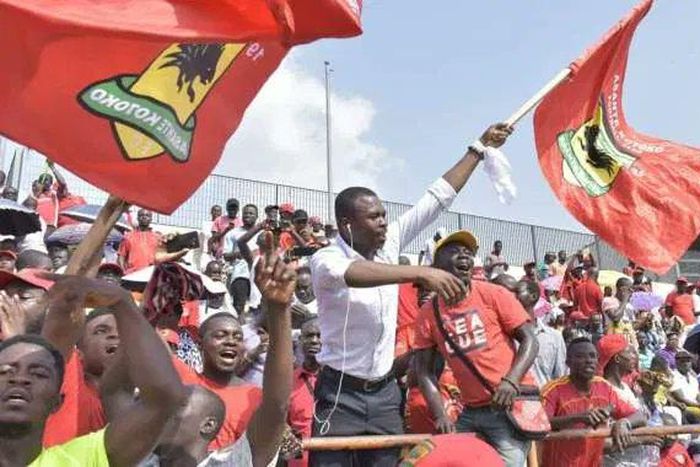Kotoko fans