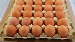 Egg prices go up by 50% following rising cost of poultry feed