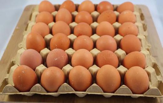 Egg prices go up by 50% following rising cost of poultry feed