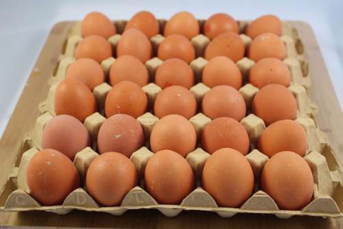 Egg prices go up by 50% following rising cost of poultry feed