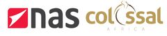 National Aviation Services (NAS)