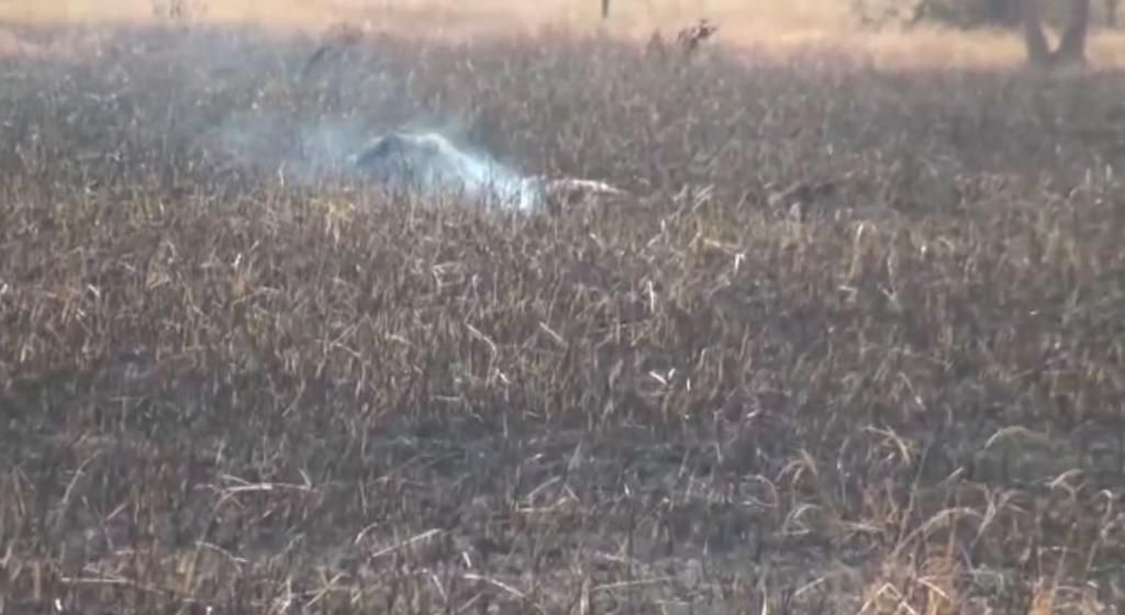 Fire consumes NDC chairman's rice farm
