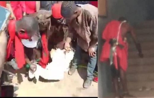Jujumen scale EC’s Ho office wall to perform enchantment after animal sacrifice at the gate