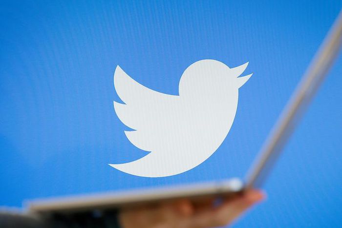 You can download Twitter videos to your computer or smartphone using different apps.