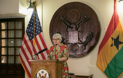 Electoral disputes should be resolved in court – US tells NDC