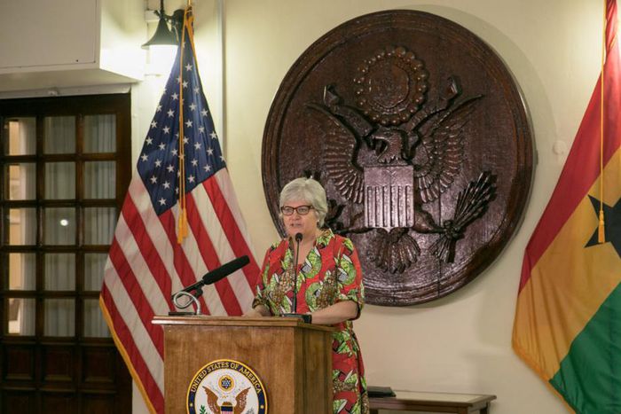 Electoral disputes should be resolved in court – US tells NDC