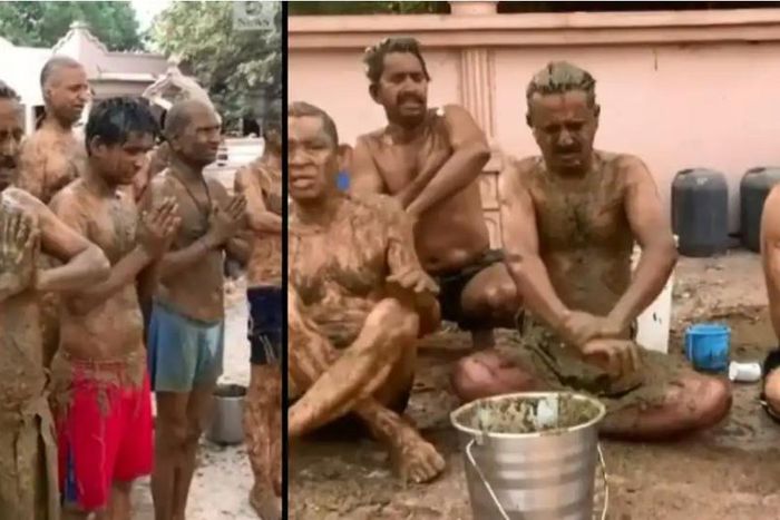 Doctors warn against the use of cow dung & urine as immunity booster against COVID-19