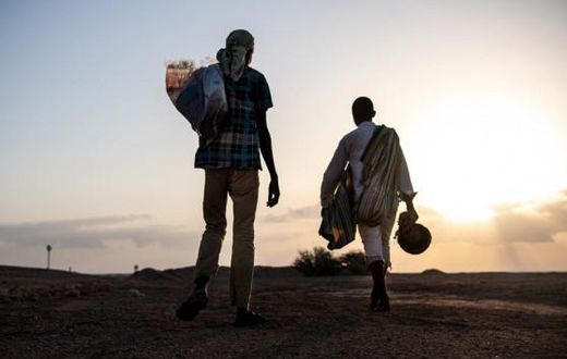International Organization for Migration (IOM)