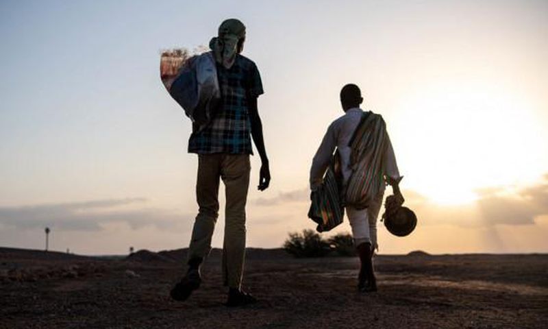 International Organization for Migration (IOM)