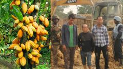 China producing their own cocoa after destroying our lands with galamsey – Sam Jonah fumes