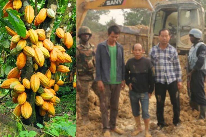 China producing their own cocoa after destroying our lands with galamsey – Sam Jonah fumes