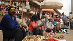Economic Intelligent Unit forecasts growth in private sector following Bank of Ghana reforms