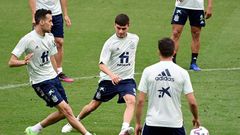 Spain's Euro preparations have been disrupted after Sergio Busquets (left) tested positive for Covid-19 last weekend.