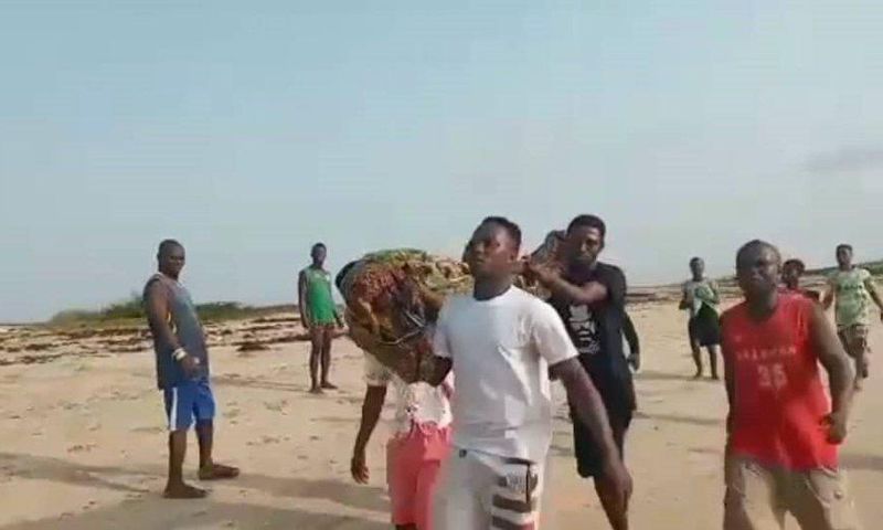 children feared drowned in Apam River