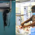 Korle Bu denies reports of fire outbreak at maternity block
