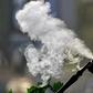 Gov’t urged to ban shisha, cigarettes over respiratory effects during pandemic