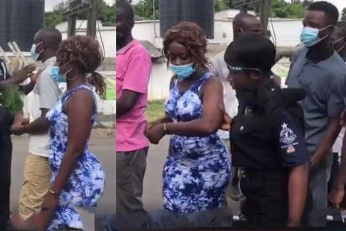 Election 2020: How a curvy lady caused an 'eruption' at Ayawaso constituency