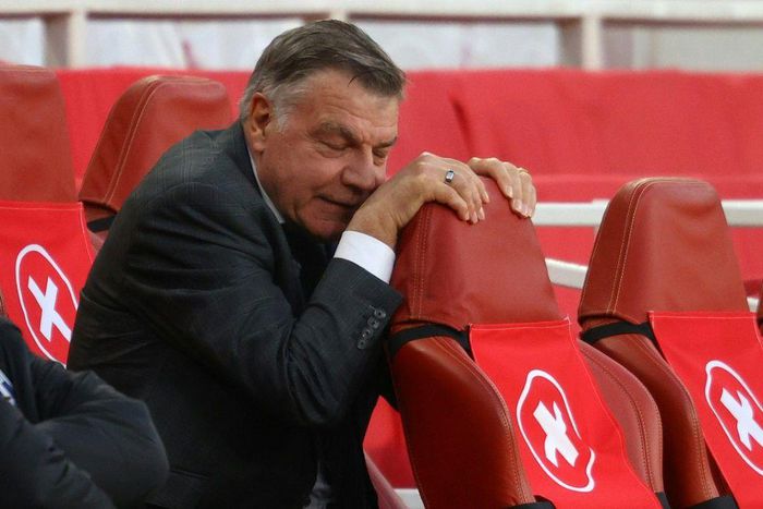 Sam Allardyce has experienced relegation from the Premier League for the first time