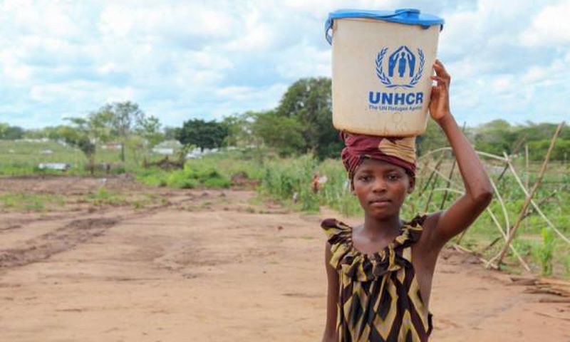 United Nations High Commissioner for Refugees (UNHCR)