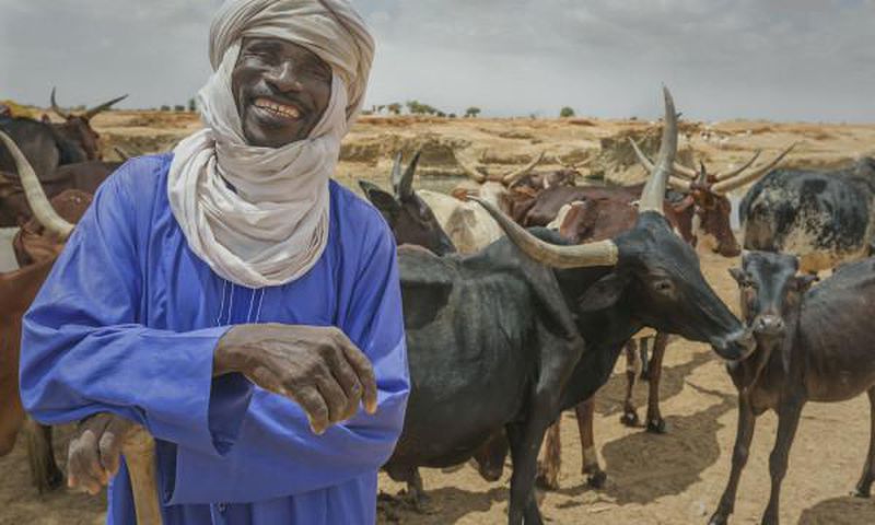 International Fund for Agricultural Development (IFAD)