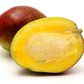 Mango seed