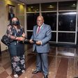 Charlotte Osei, Kweku Baako, others visit Nana Addo