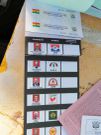 EC official tears President Akufo-Addo out before handing ballot paper to voters