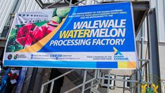 Walewale watermelon juice factory