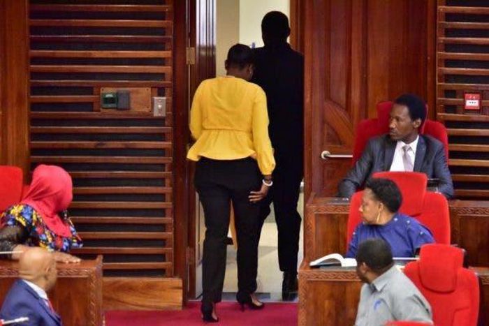 Tanzanian parliament’s speaker sacks female MP over provocative dressing