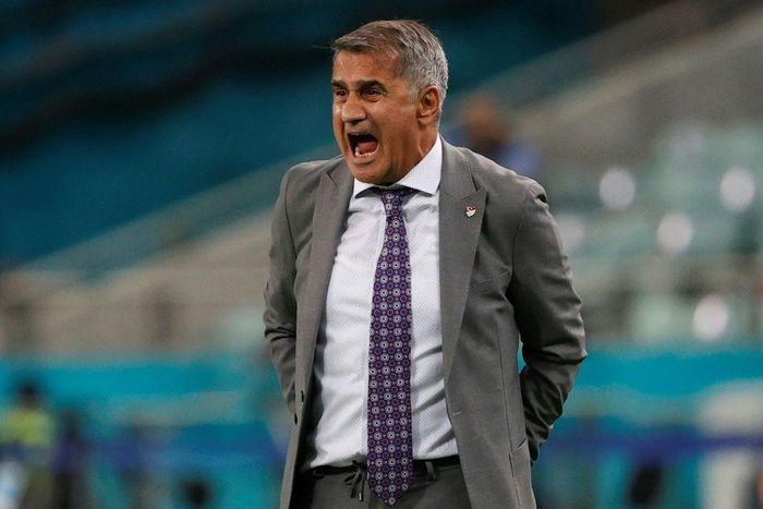 Senol Gunes led Turkey to third place at the 2002 World Cup during his first spell in charge