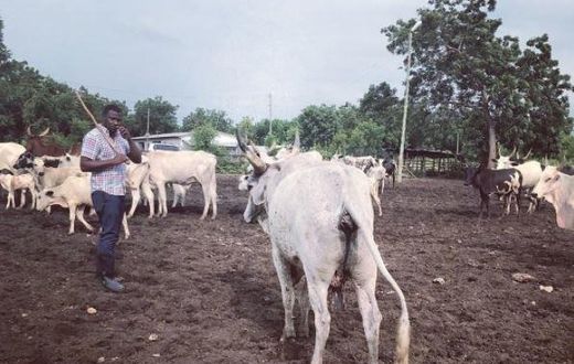 John Dumelo on his farm