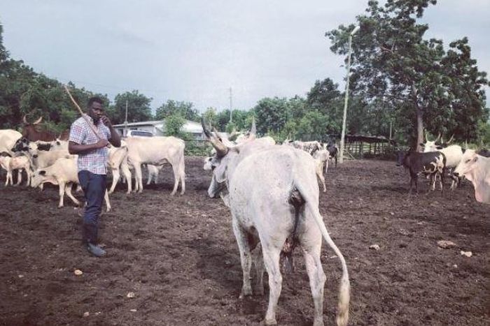 John Dumelo on his farm