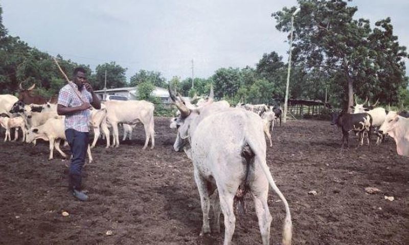 John Dumelo on his farm