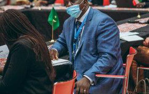African Petroleum Producers Organization (APPO)